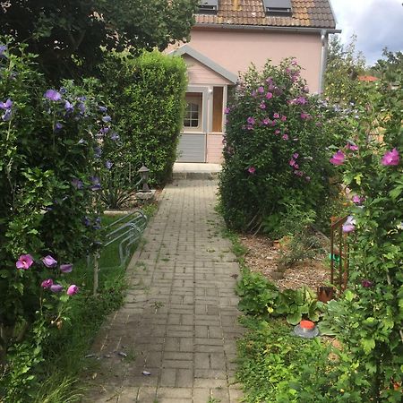 Ferienhaus-Geiserich Blankenburg  Extérieur photo